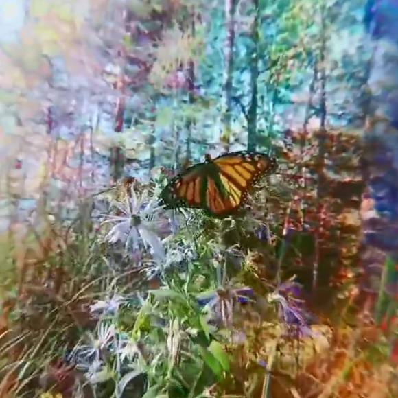 Meet your Posher, Magdalene - Picture 1 of 1